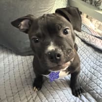 Thumbnail photo of Atlas #1