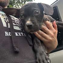 Thumbnail photo of Atlas #2