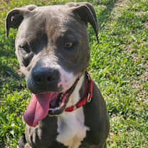 Thumbnail photo of Derik #3