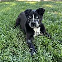 Thumbnail photo of Boss #3