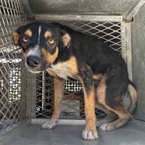 Thumbnail photo of Orlando  #2