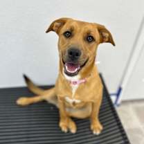 Thumbnail photo of Tot #1