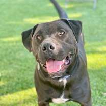 Thumbnail photo of Bento #3