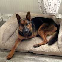 Thumbnail photo of River #4