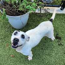 Thumbnail photo of Natalia #3