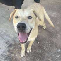 Thumbnail photo of Charlie #2