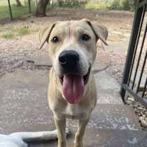 Thumbnail photo of Charlie #3