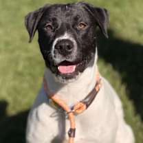 Thumbnail photo of Girlie #3