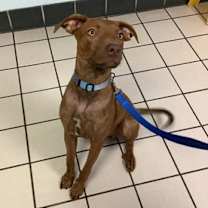 Thumbnail photo of Buster #2