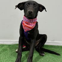 Thumbnail photo of Rella #1