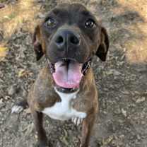 Thumbnail photo of TJ #3