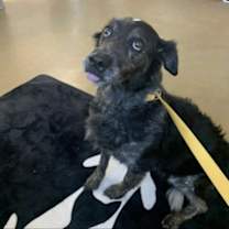 Thumbnail photo of September #2