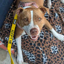 Thumbnail photo of Emma #1