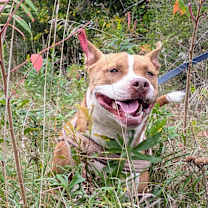 Thumbnail photo of Emma #2