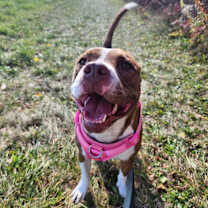 Thumbnail photo of Emma #3