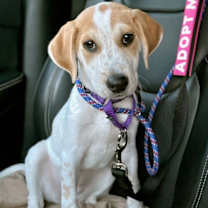 Thumbnail photo of R - RIVER #4