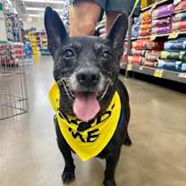 Thumbnail photo of Bubba #1