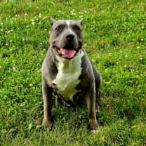 Thumbnail photo of Neela #4