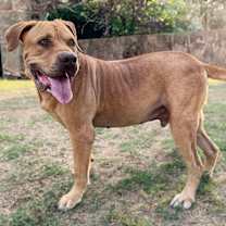 Thumbnail photo of Pluto #1