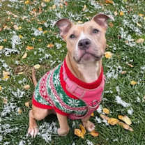 Thumbnail photo of Nikita #2