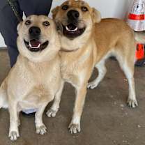 Thumbnail photo of Carmen #2