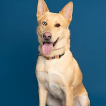 Thumbnail photo of Atlas #3