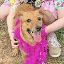 Thumbnail photo of Cornelia #3