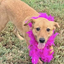 Thumbnail photo of Cornelia #4