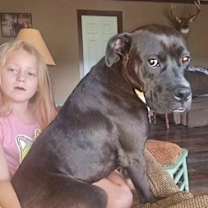 Thumbnail photo of Norton #1