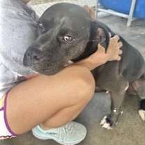 Thumbnail photo of Norton #3