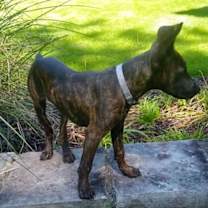 Thumbnail photo of Tom #3