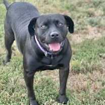 Thumbnail photo of Lily #1