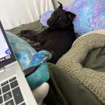 Thumbnail photo of Stevie #3