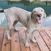 Thumbnail photo of Lori #1