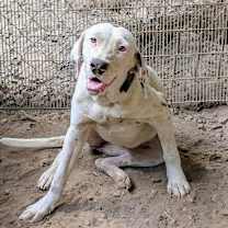 Thumbnail photo of Lori #2