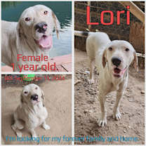 Thumbnail photo of Lori #3