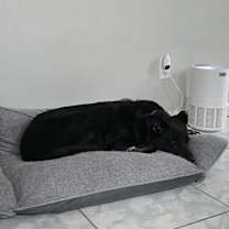 Thumbnail photo of Candi #4