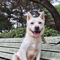 Thumbnail photo of Yunjeong #3