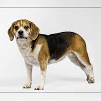 Thumbnail photo of Sacha #2