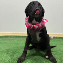 Thumbnail photo of Thanos #3