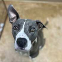 Thumbnail photo of Wall-E #1