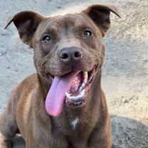 Thumbnail photo of Snooki #1