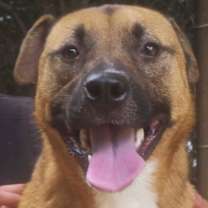 Thumbnail photo of Grizzly #2