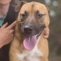 Thumbnail photo of Grizzly #3