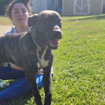 Thumbnail photo of Cash #4