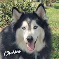 Thumbnail photo of Charles #brother-of-Mary-Beth #1