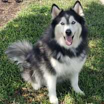 Thumbnail photo of Charles #brother-of-Mary-Beth #2