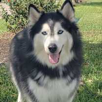 Thumbnail photo of Charles #brother-of-Mary-Beth #4