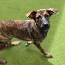 Thumbnail photo of RAY 1573 #1