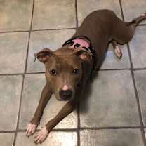 Thumbnail photo of Daisy #3